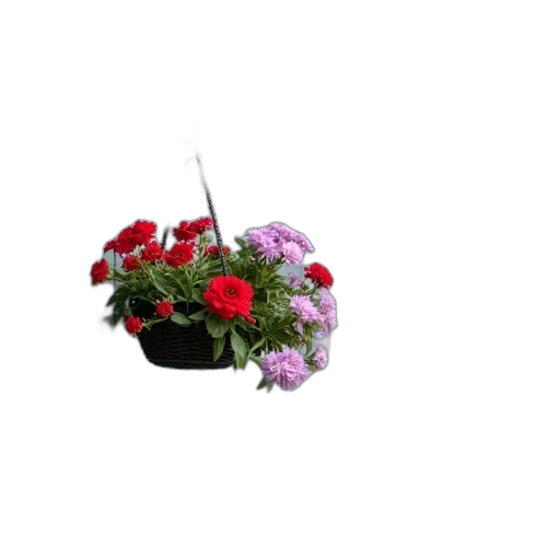flower, crown, jewelry, staff transparent PNG cut-out