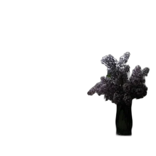 tree, crown, flower, umbrella transparent PNG cut-out