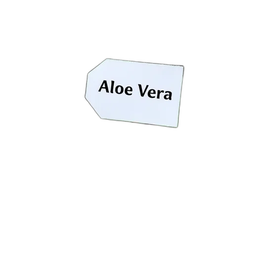 tree, hair, furniture, jewelry transparent PNG cut-out