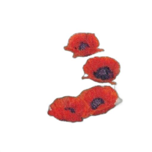crown, food, flower, hat transparent PNG cut-out