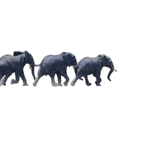 animal, creature, concept art, 3d render transparent PNG cut-out