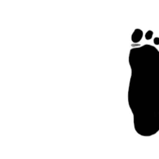 shoes, animal, creature, staff transparent PNG cut-out