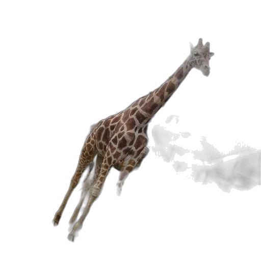 animal, creature, staff, dragon transparent PNG cut-out