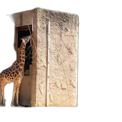 animal, sword, concept art, giraffe transparent PNG cut-out