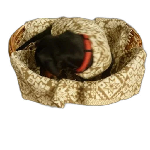 hat, crown, animal, dragon transparent PNG cut-out