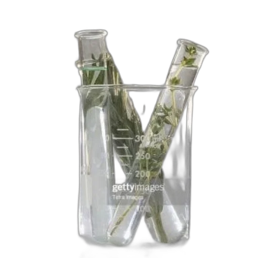 bottle, weapon, crown, jewelry transparent PNG cut-out