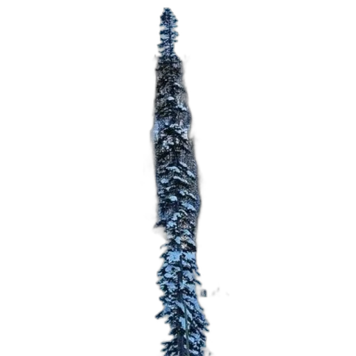 staff, sword, weapon, tree transparent PNG cut-out