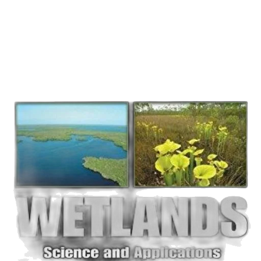 cover, biogeochemistry, wetlands, science transparent PNG cut-out