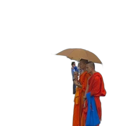 umbrella, staff, jacket, dress transparent PNG cut-out