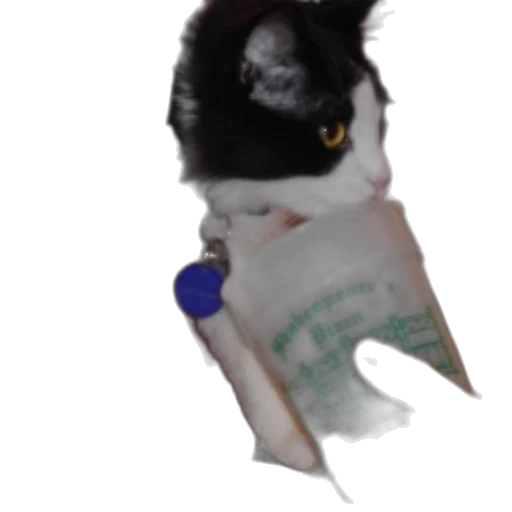 staff, animal, creature, weapon transparent PNG cut-out