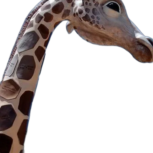 animal, creature, face, mask transparent PNG cut-out