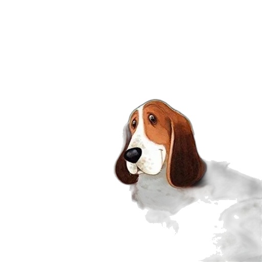 animal, creature, face, staff transparent PNG cut-out