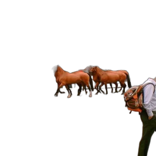 animal, creature, weapon, staff transparent PNG cut-out