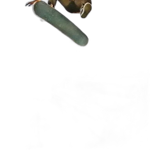 animal, weapon, creature, dragon transparent PNG cut-out