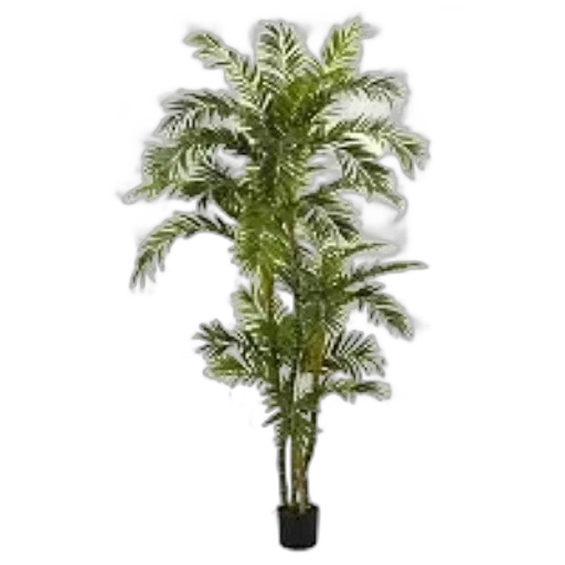 tree, staff, crown, 3d render transparent PNG cut-out