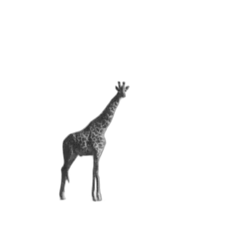 animal, creature, staff, furniture transparent PNG cut-out