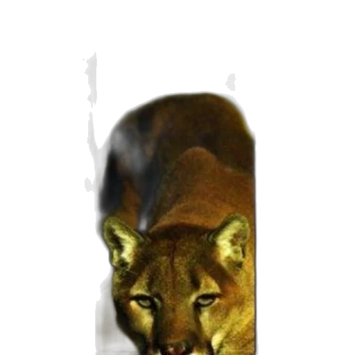 animal, staff, bottle, weapon transparent PNG cut-out