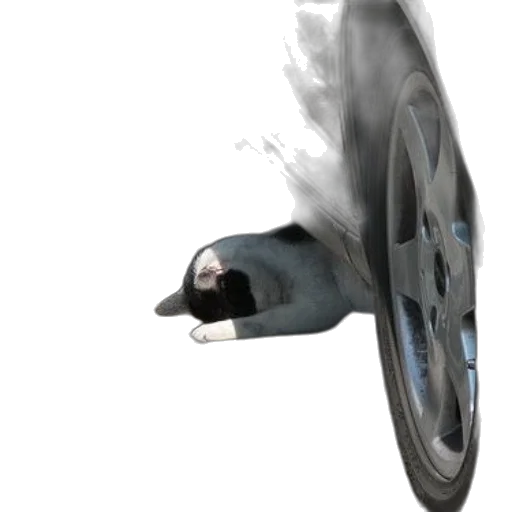 weapon, car, robot, umbrella transparent PNG cut-out