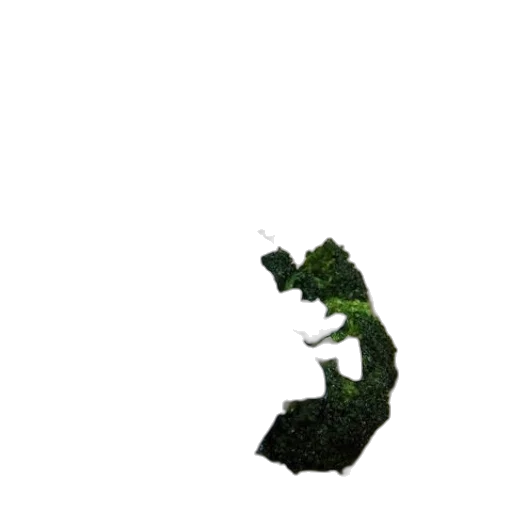 dragon, creature, weapon, staff transparent PNG cut-out
