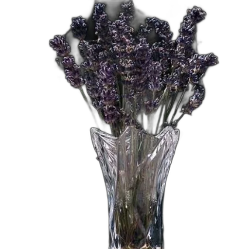 crown, flower, staff, bottle transparent PNG cut-out
