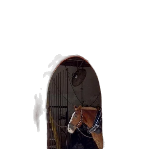 shoes, mask, robot, face transparent PNG cut-out