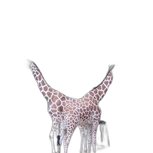 animal, jewelry, creature, crown transparent PNG cut-out