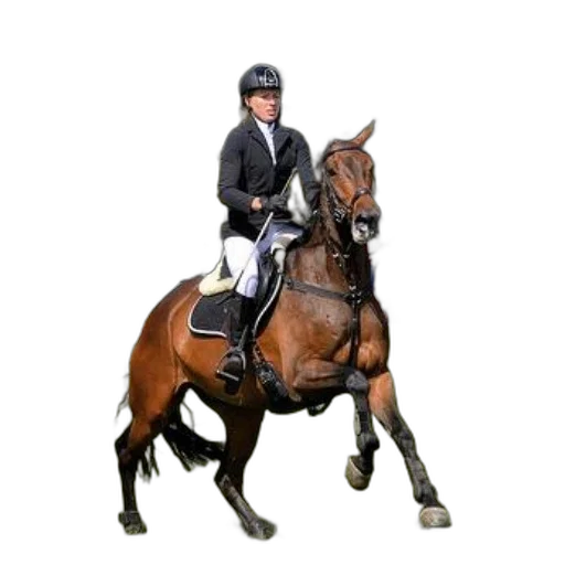 staff, rider, black, jacket transparent PNG cut-out