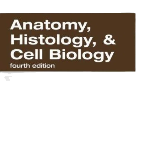 staff, book, cover, titled transparent PNG cut-out