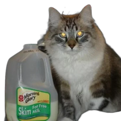 animal, bottle, creature, staff transparent PNG cut-out