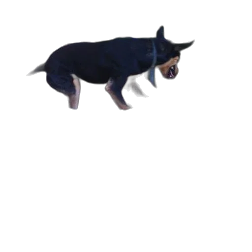 animal, creature, dragon, staff transparent PNG cut-out