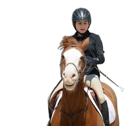 photorealistic, person, riding, brown transparent PNG cut-out