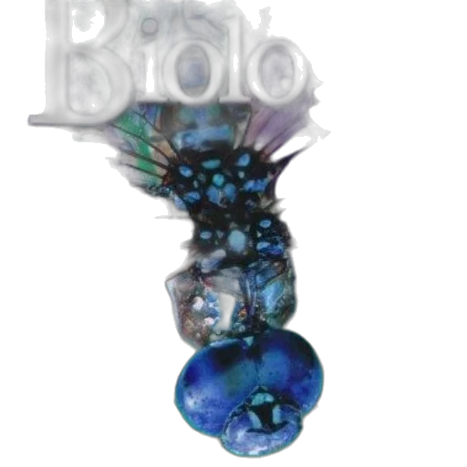 jewelry, dragon, staff, vaporwave transparent PNG cut-out