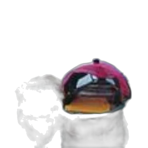 bottle, jewelry, crown, mask transparent PNG cut-out