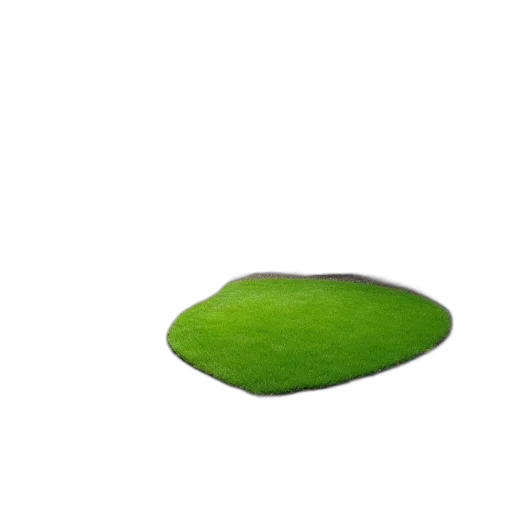 food, tree, hat, furniture transparent PNG cut-out