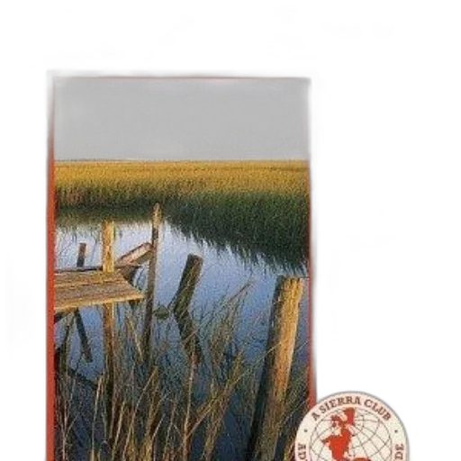 bottle, jewelry, oil painting, photorealistic transparent PNG cut-out