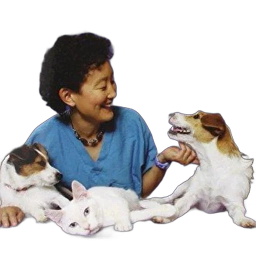 animal, staff, jewelry, oil painting transparent PNG cut-out
