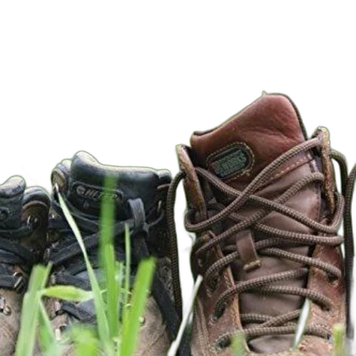 shoes, photorealistic, 3d render, earth tones transparent PNG cut-out