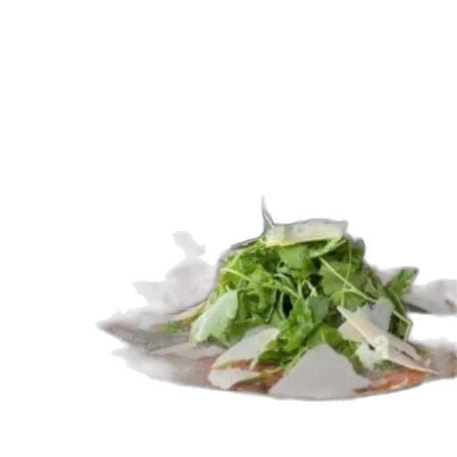 food, animal, hair, umbrella transparent PNG cut-out