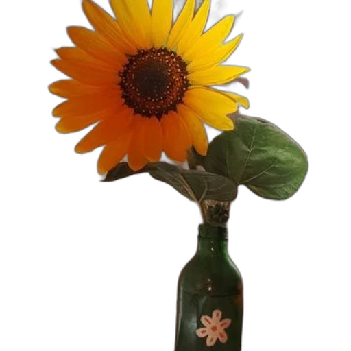 flower, bottle, staff, crown transparent PNG cut-out