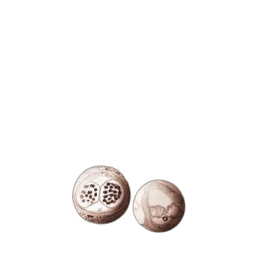 jewelry, food, furniture, hair transparent PNG cut-out