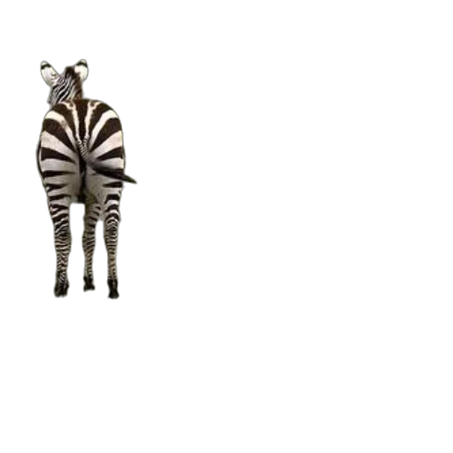 animal, creature, hat, staff transparent PNG cut-out