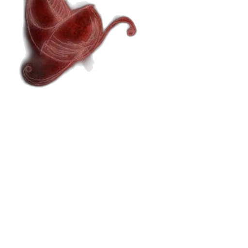 creature, animal, food, staff transparent PNG cut-out