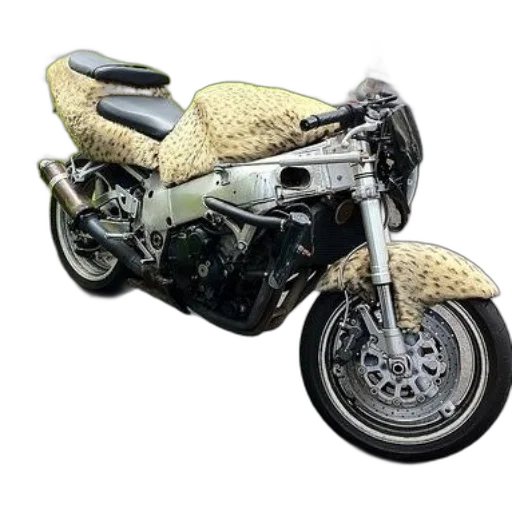 3d render, photorealistic, concept art, earth tones transparent PNG cut-out