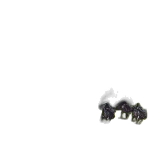 animal, creature, hair, dragon transparent PNG cut-out