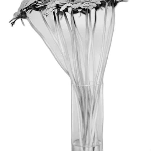 umbrella, bottle, flower, crown transparent PNG cut-out