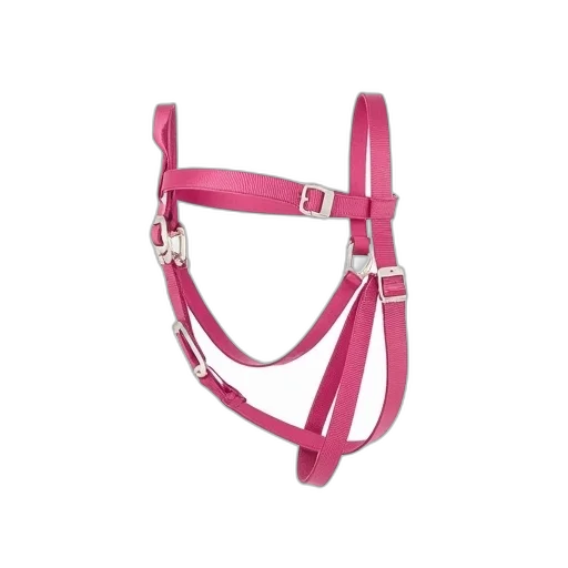 jewelry, pink, horse, halter transparent PNG cut-out