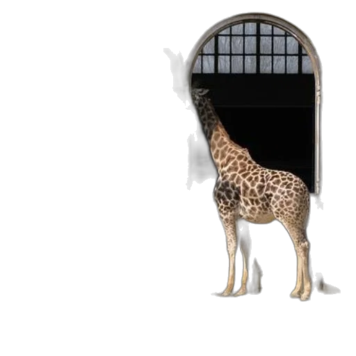 animal, creature, building, car transparent PNG cut-out