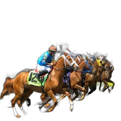 concept art, photorealistic, horse, race transparent PNG cut-out