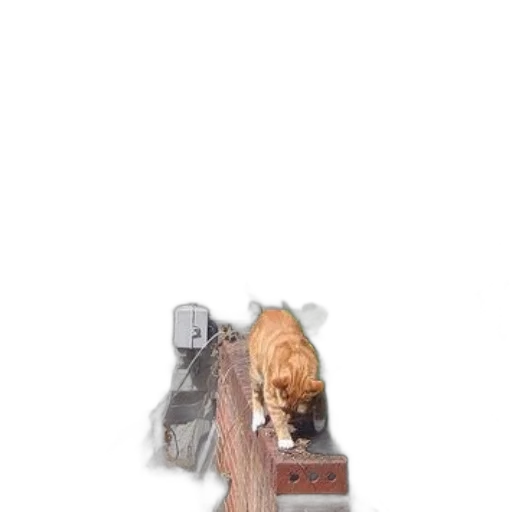 weapon, shoes, hair, furniture transparent PNG cut-out