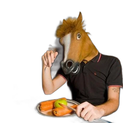 animal, food, creature, hat transparent PNG cut-out